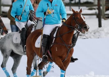Prince Harry was spotted showing off his polo skills during a lively match in snowy Aspen