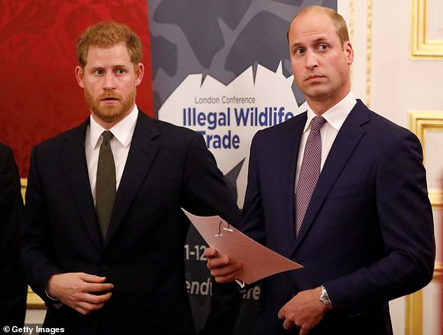 Prince Williamknew his brother - who was in Canadaat the time - would pick up on the Queen's message and throw what royal author Tina Brown described as a 'Category 5 tantrum' in her book Palace Papers