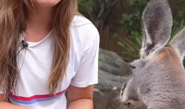 Princess Ingrid Alexandraof Norway recently visited one of the city’s biggest tourist attractions – Taronga Zoo