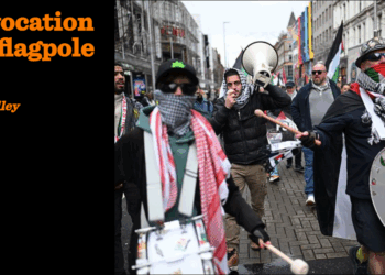 Provocation on a flagpole | Owen Polley