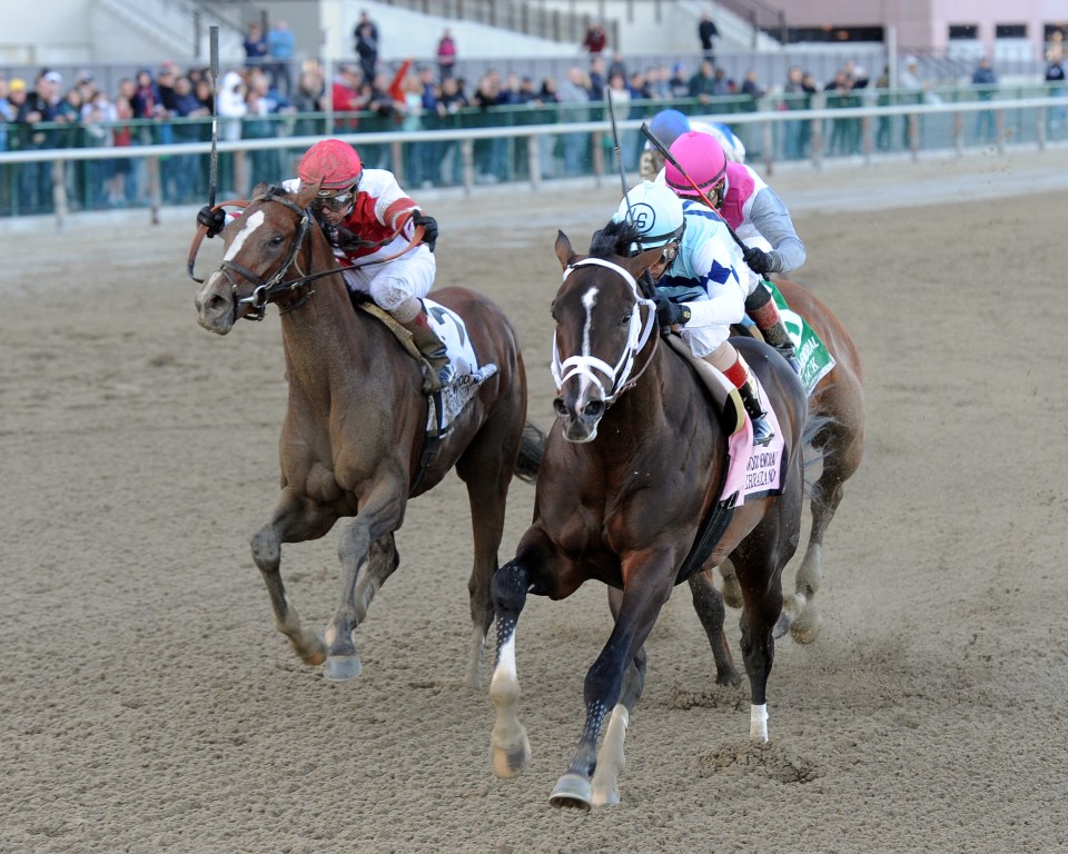 Verrazano, John Velazquez