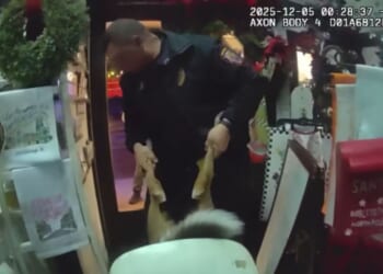 The unusual deer break-in happened at Gabriel’s Christmas, a year-round holiday business in the city of Jonesborough, Tennessee, police said on Dec. 5, 2025.