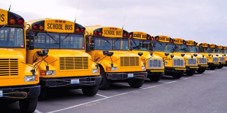 A row of yellow school buses.