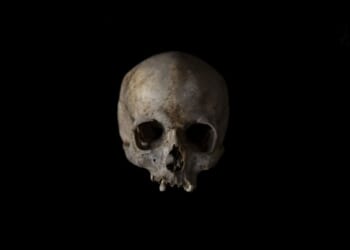 Science Should Not Be About 'Stories,' But About Truth – HotAir