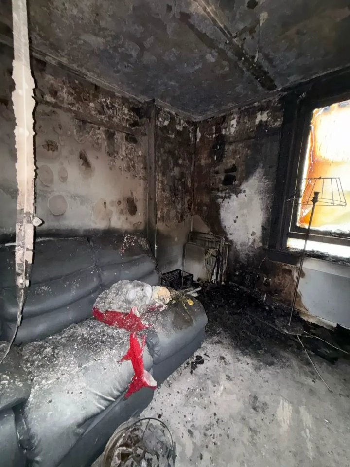 NINTCHDBPICT001044742482