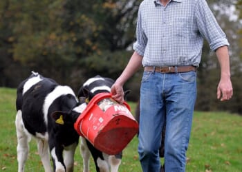 Jonathan Charlesworth, pictured feeding cattle at his farm, accused the government of a 'complete lack of understanding towards farming and the countryside in general'.
