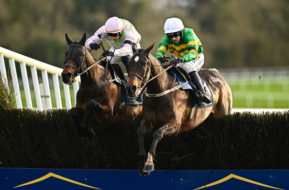 Punchestown Premiere Weekend - Day Two