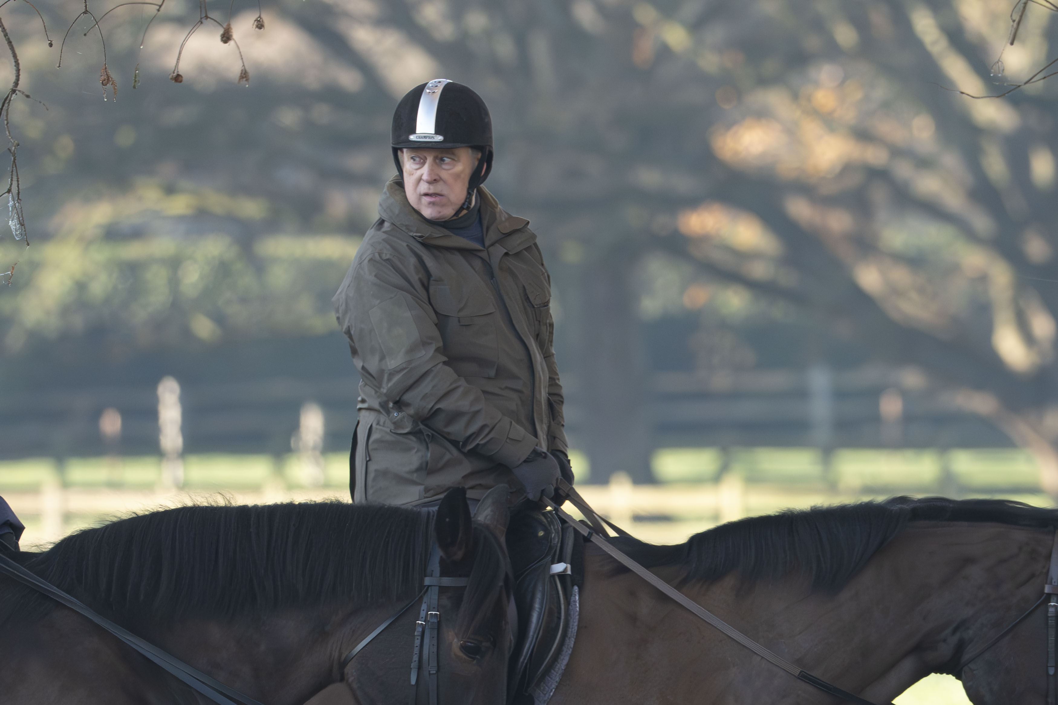 NINTCHDBPICT001045433149