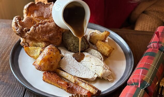 Experts warn that washing leftover gravy down the sink this Christmas could ruin your plumbing and cause an expensive blockage (stock image)