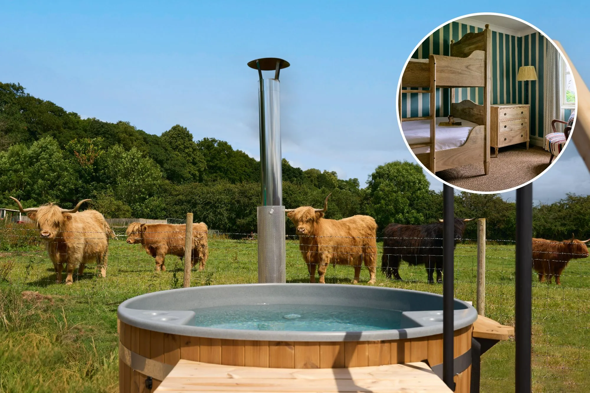 An image collage containing 2 images, Image 1 shows The hot tubs overlook Highland cows, Image 2 shows Children's bedroom at The Barnsdale in Rutland with bunk beds, a striped armchair, and a window overlooking a garden