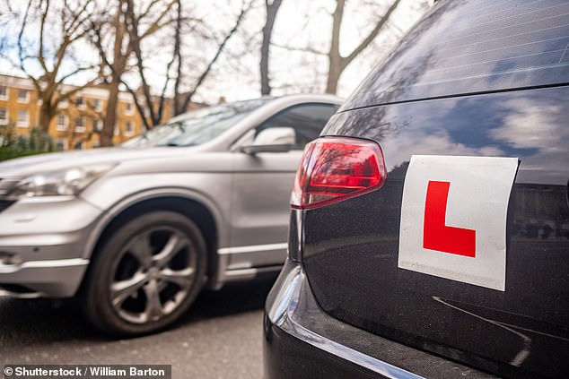 On the road: Based on 30 working hours, a driving instructor could take home an average of £1,110 per week, according to Red Driving School, the largest driver education firm in the UK