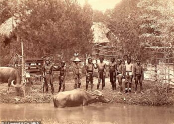 One of the few existing images of Madrid's human zoo, which exhibited people from the Filipino Igorot tribe for six months in 1887 in the iconic Retiro Park