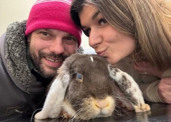 Daisy and Chris Barrett run Carrot Cottage Rabbit Rescue in rural South Wales and have cared for over 150 rescued bunnies in the last three years