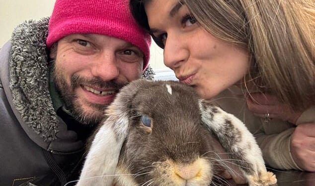 Daisy and Chris Barrett run Carrot Cottage Rabbit Rescue in rural South Wales and have cared for over 150 rescued bunnies in the last three years