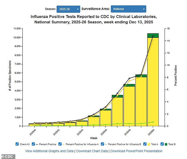 The above CDC graph shows the gradual increase in positive influenza tests through December 13, the latest available data