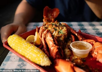 Lobster is a classic delicacy to test out when you're visiting Boston