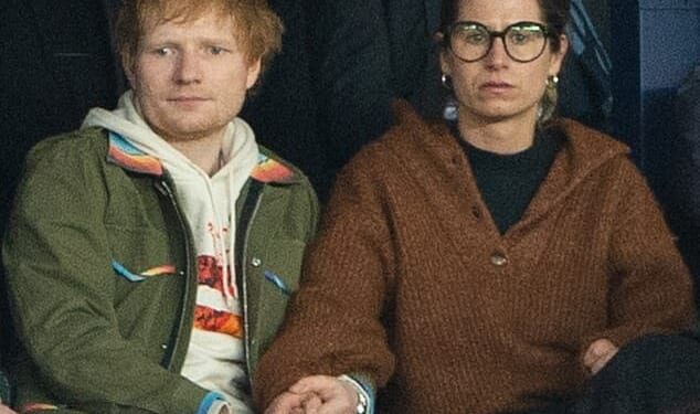 Fans are fearing Ed Sheeran has hinted his marriage to Cherry Seaborn is over on the new deluxe version of his album Play as he admits to past 'split'