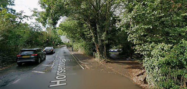 The man was found dead late yesterday evening at an address on Horsenden Lane North, in the Greenford area of Ealing
