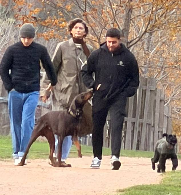 The Hollywood couple were also seen taking their dogs out for a stroll around Richmond Park in London