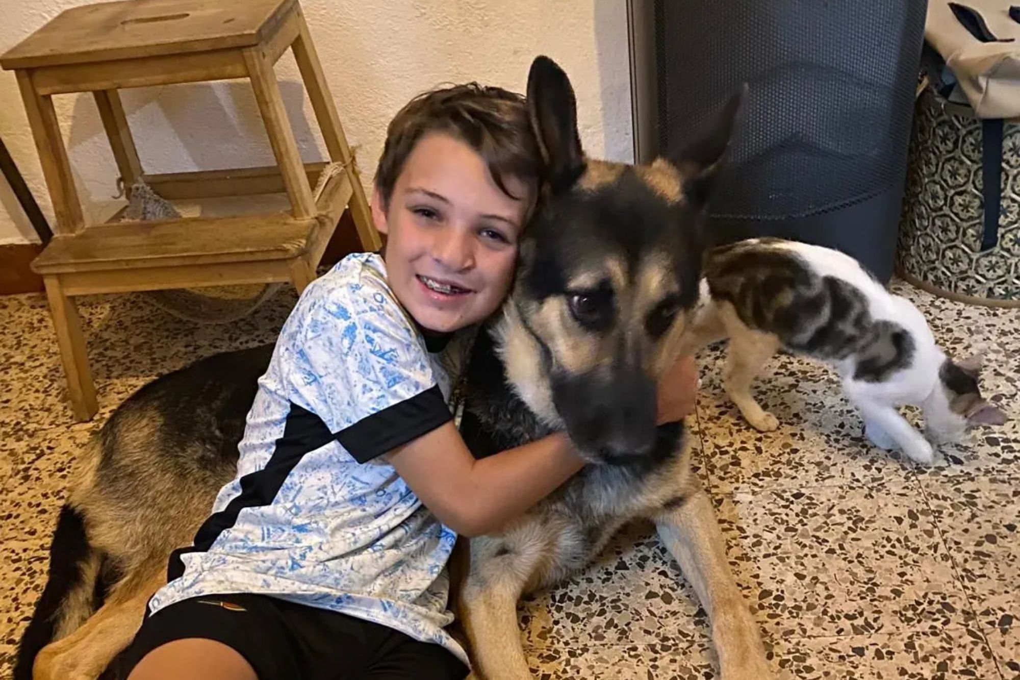 An image collage containing 1 images, Image 1 shows A boy hugging a German Shepherd, with a cat in the background