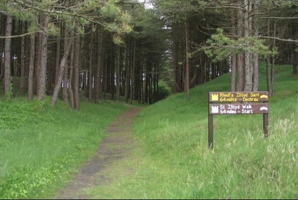 A dirt path through a grassy, tree-lined area at Pembrey Country Park, with a sign for the St. Illtyd Walk.