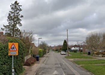 Two teenagers killed & another fighting for his life after Tesla crashes into tree as man, 30, is arrested