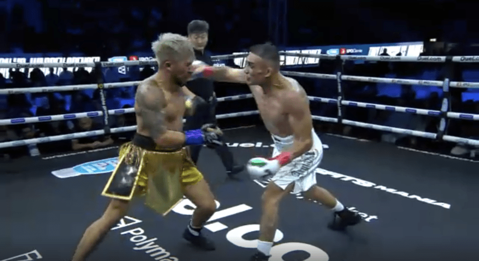 Two boxers in a boxing ring, one throwing a punch.