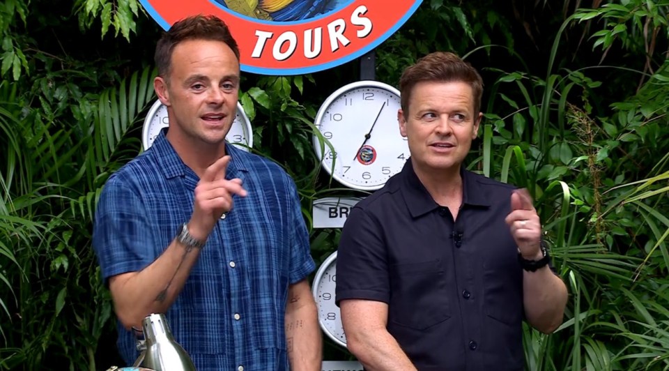 Ant and Dec in front of a jungle-themed backdrop with clocks and a sign that reads "Tours."