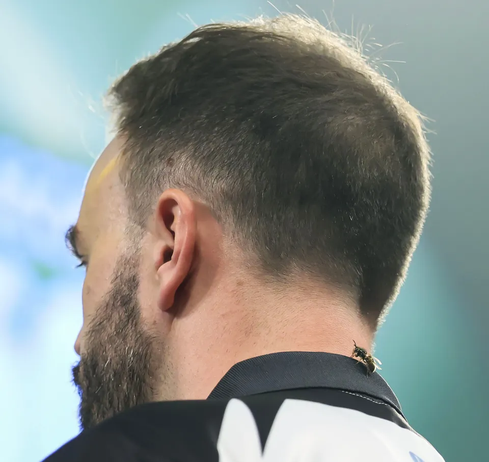 A man from behind with a bee on his collar.