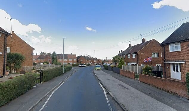 Woman has 'knife held to her neck by gang wearing balaclavas and is sexually assaulted' in broad daylight