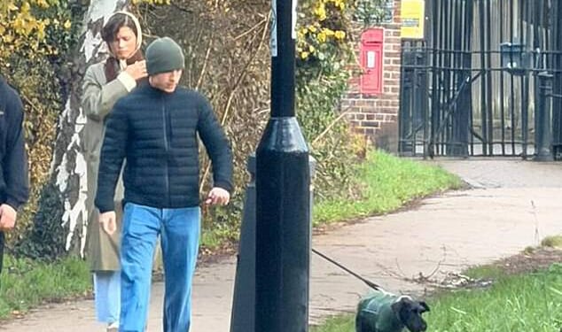 Zendaya and her fiancé Tom Holland headed out for a walk in Richmond Park as they prepare to spend Christmas with his family