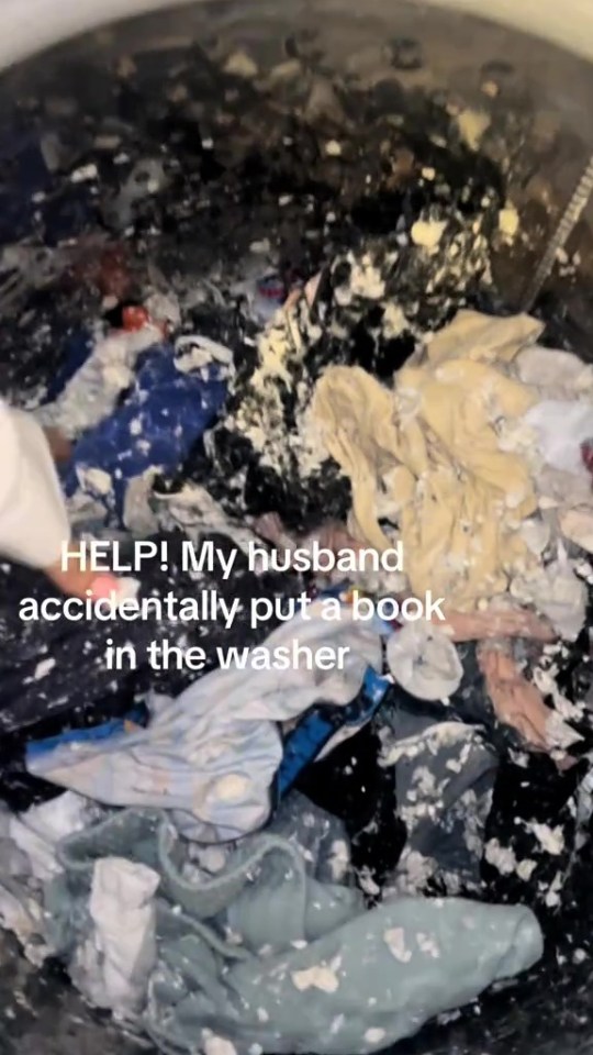 NINTCHDBPICT001047978763