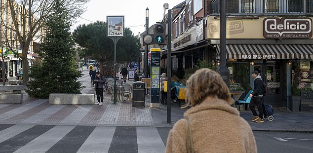 Locals and business owners say Eltham High Street (pictured) has become unbearable because of young yobs