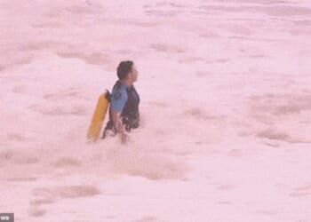 The cop - who the Daily Mail can reveal is NSW Police Constable Lucas Matthews - is seen running into the giant swell at Coogee Beach, in Sydney's eastern suburbs, fully clothed. He has been praised by colleagues and surf life savers for his efforts