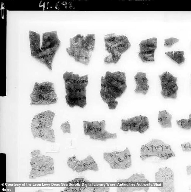 The breakthrough centerson the so-called Cryptic B manuscripts, two heavily damaged fragments labeled 4Q362 and 4Q363 that were long considered 'impossible' to read because they used an unfamiliar alphabet. Pictured are pieces Pieces of Dead Sea Scroll with Cryptic B