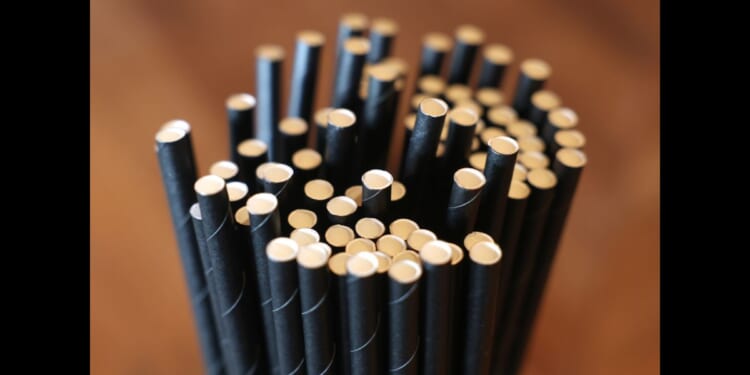 Paper straws sit in a container on the bar at Laurel Tavern on February 7, 2025 in Studio City, California.