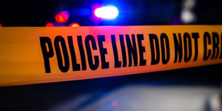 The 19-year-old went missing on Christmas Eve.