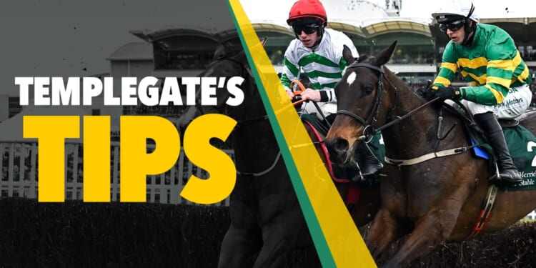 Horse racing tips: 'His trainer couldn't be in better form'