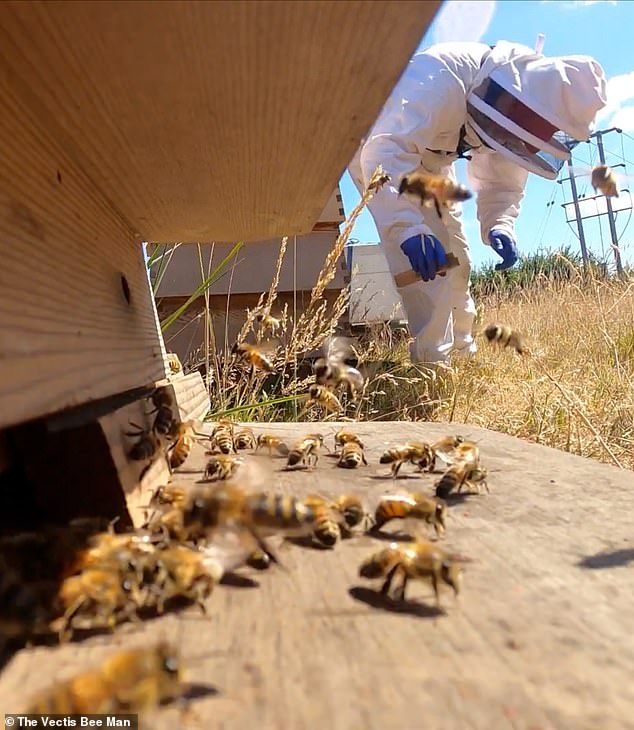 Civil engineer Mr Ransom (pictured taking care of his bees), from Godshill on the Isle of Wight, died from brain injuries caused by a lack of oxygen following the reaction