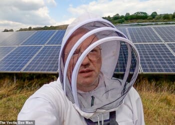 Alan Ransom, 55, went into anaphylactic shock and died after being stung while not wearing his beekeeper's hat