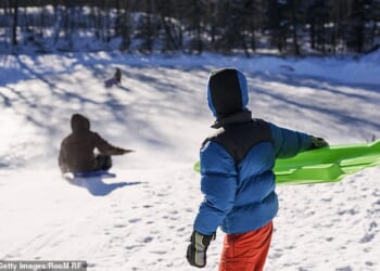 A man has died and his wife is critically injured after they plunged 250ft down a mountain when they took a wrong turn while riding a toboggan in the Austrian Alps (stock image)