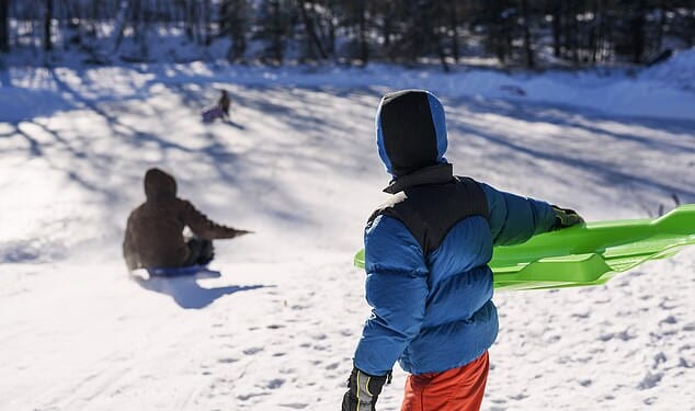 A man has died and his wife is critically injured after they plunged 250ft down a mountain when they took a wrong turn while riding a toboggan in the Austrian Alps (stock image)