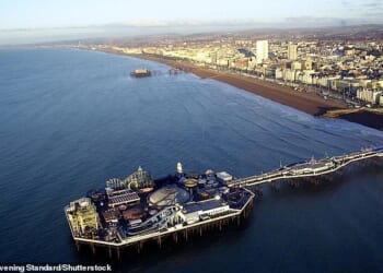 The swimmer was recovered from the water after he was seen struggling at around 10.30am to the west of BrightonPalace Pier