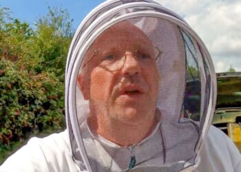 Amateur beekeeper, 55, died after suffering allergic reaction to bee sting