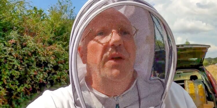 Amateur beekeeper, 55, died after suffering allergic reaction to bee sting