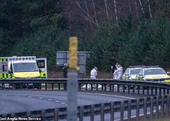 Pictured: Police at the scene on the A11 road dual carriageway near Thelford Norfolk on Sunday
