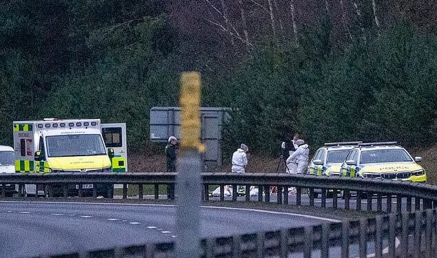 Pictured: Police at the scene on the A11 road dual carriageway near Thelford Norfolk on Sunday