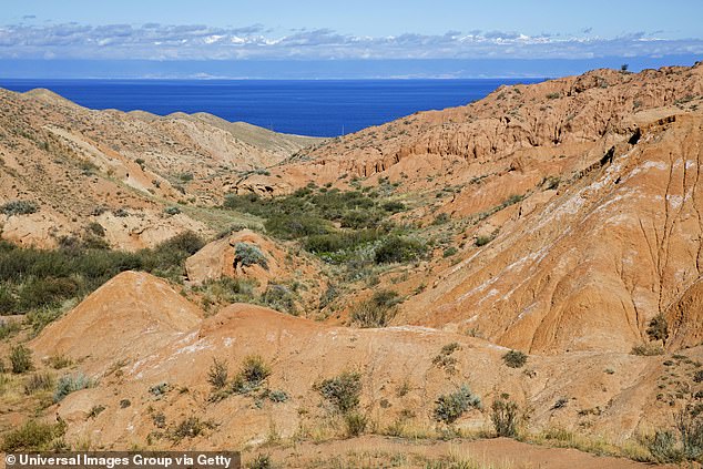 The spat happened at Red Rock Canyon, about 15 miles west of Las Vegas, when the visitor apparently was taking too long at a scenic selfie spot