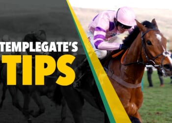 Horse racing tips: 'No fears over this massive Cheltenham eyecatcher'