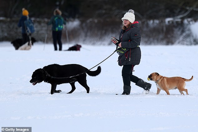 Dog walkers in the snow in the Aberdeenshire town of Stonehaven on Friday afternoon